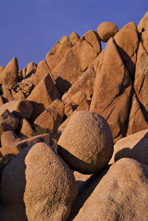 Sunset on the boulders in Jumbo Rocks von Danita Delimont