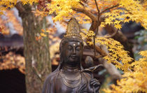 Buddha von Danita Delimont