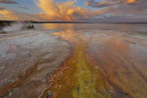 Colorful mineral deposits emit from Black Pool geyser in the West Thumb Geyser Basin along Yellowstone Lake in Yellowstone National Park in Wyoming at sunset by Danita Delimont
