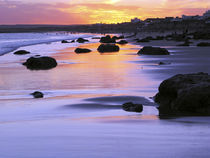 The beach at sunset by Danita Delimont