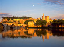 Palais des Papes (Palace of the Popes) by Danita Delimont