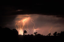 Lightning fills sky over Khwai River at end of dry season in Okanvango Delta by Danita Delimont