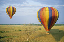 Tourists ride hot-air balloons at dawn by Danita Delimont