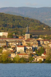 Town near Vienne von Danita Delimont