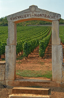 A stone portico to the vineyard Chevalier-Montrachet (Chartron Dupard) von Danita Delimont