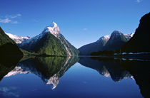 Fiordland National Park von Danita Delimont