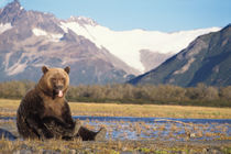 Katmai National Park on the Alaskan peninsula von Danita Delimont