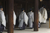 Meiji Shrine Autumn Festival by Danita Delimont