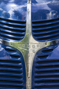 Radiator Grille of a 1938 Dodge Pickup Truck by Danita Delimont
