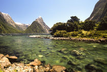 Fiordland von Danita Delimont