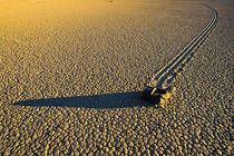 Rock and trail on the Racetrack Playa in late afternoon von Danita Delimont