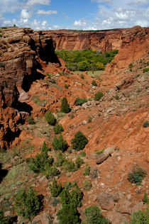 Tunnel Canyon overlook von Danita Delimont