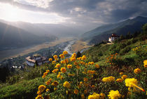 Panoramic view of beautiful Paro Valley with flowers and Paro Dzong von Danita Delimont