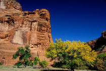 Canyon de Chelly National Monument by Danita Delimont