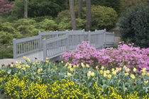 And varied spring flowers along a garden path by Danita Delimont