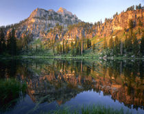 Wasatch-Cache National Forest by Danita Delimont