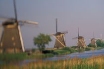 Kinderdijk windmills von Danita Delimont