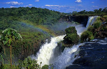 South America; Latin America; Argentina; Brazil; Iguacu Falls von Danita Delimont