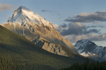 Jasper Canada by Danita Delimont