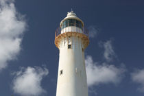 Northeast Point: Grand Turk Lighthouse von Danita Delimont