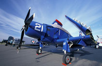 WWII era fighter planes on display for Veteran's Day by Danita Delimont