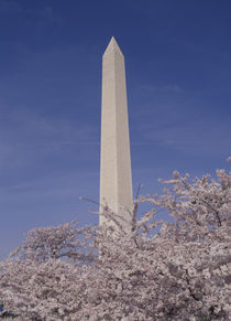 Washington Monument by Danita Delimont