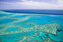 Aerial of the Great Barrier Reef by the Whitsunday Coast with its 'River' von Danita Delimont