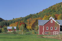 Red Barn and fall foliage von Danita Delimont