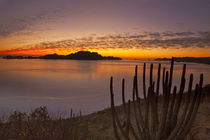The sunrise over Isla Danzante in the Gulf of California from near Loreto Mexico by Danita Delimont