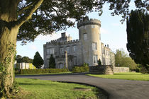 Dromoland Castle side entrance with no people framed by tree branches by Danita Delimont