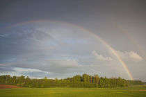 Spring field and rainbow by the A3 highway von Danita Delimont