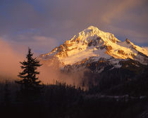 Rolling fog at sunset as viewed from Lolo Pass by Danita Delimont