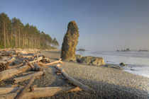 Shoreline and Seastacks von Danita Delimont