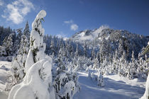 Snow Lake basin von Danita Delimont