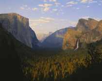 Yosemite valley and Bridal veil falls by Danita Delimont