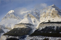 Wilson with the Wilson Icefield at its top by Danita Delimont