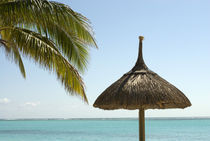 Idyllic beach scene with umbrella and palm fronds von Danita Delimont