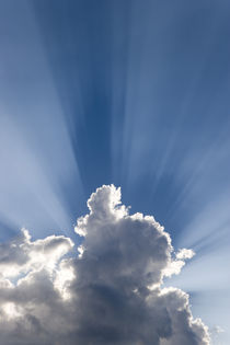 Crepuscular or God's rays streak past cloud by Danita Delimont