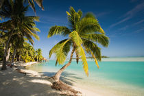 Beach on the island of Aitutaki in the Cook Islands von Danita Delimont