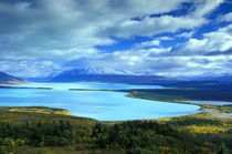 The green waters of Naklek Lake von Danita Delimont