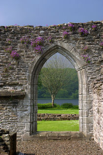 Ruins of Lochleven Castle von Danita Delimont