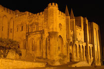 Papal Palace at night by Danita Delimont