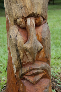 Handcarved tree with face by Danita Delimont