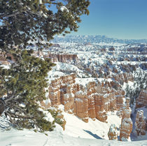 Fills the canyons and covers the hoodoos von Danita Delimont