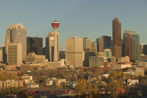 Calgary: City Skyline from Ramsay Area / Morning von Danita Delimont