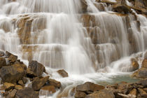 Close-up of Sherbrooke Falls rushing over rock formation by Danita Delimont