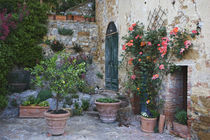 Potted plants decorate a patio in a Tuscany village by Danita Delimont