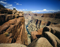 Toroweap Overlook a vertical panorama of the Canyon from Rim to River by Danita Delimont