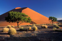 Sossosvlei dunes von Danita Delimont