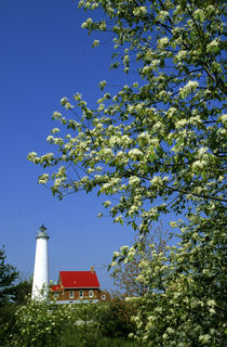 Tawas Lighthouse with wild cherry trees in bloom von Danita Delimont